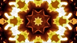 mosaicon2