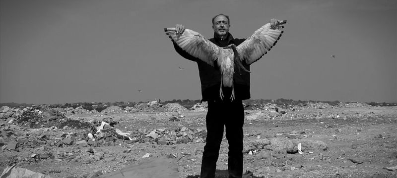 Roger Ballen_Asylum of the Birds_01