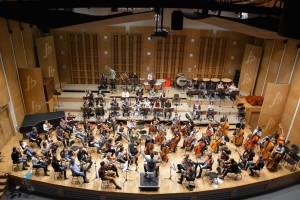 warsztaty_orkiestrowe_-_orchestra_workshops_-_19022014_2-1