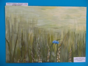 SAM_0333