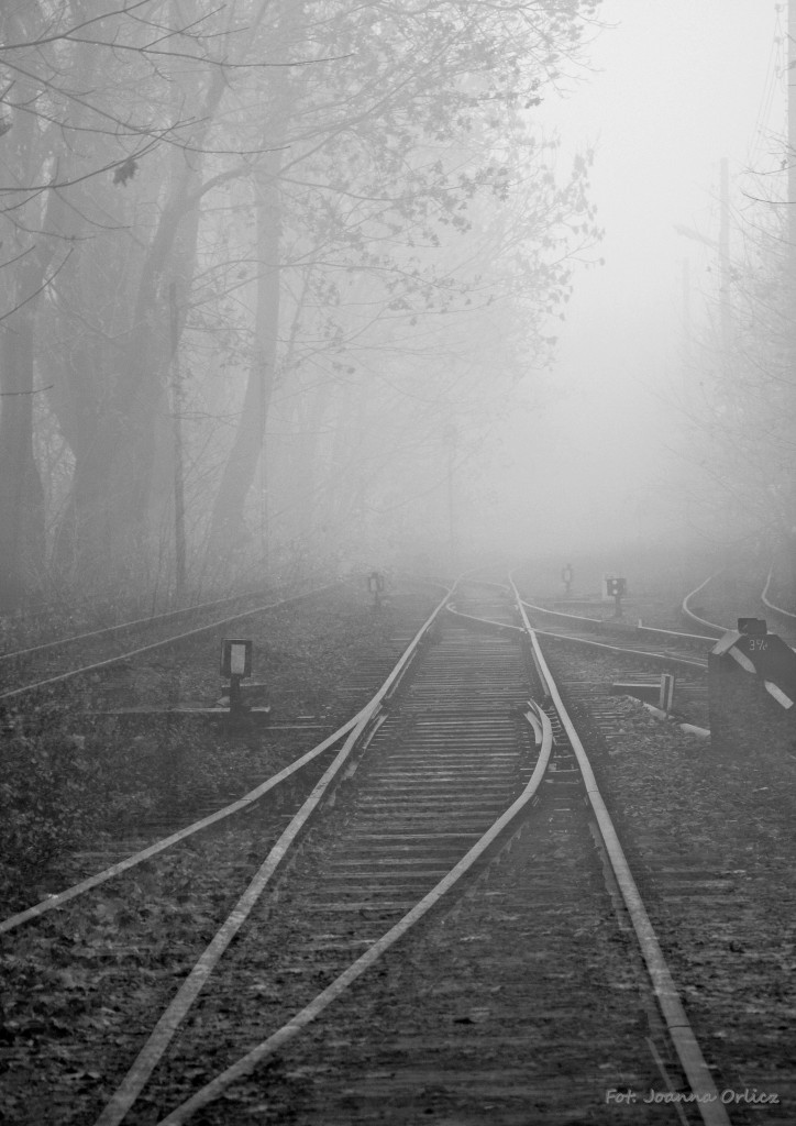 _DSC4272_sum_mode_1a