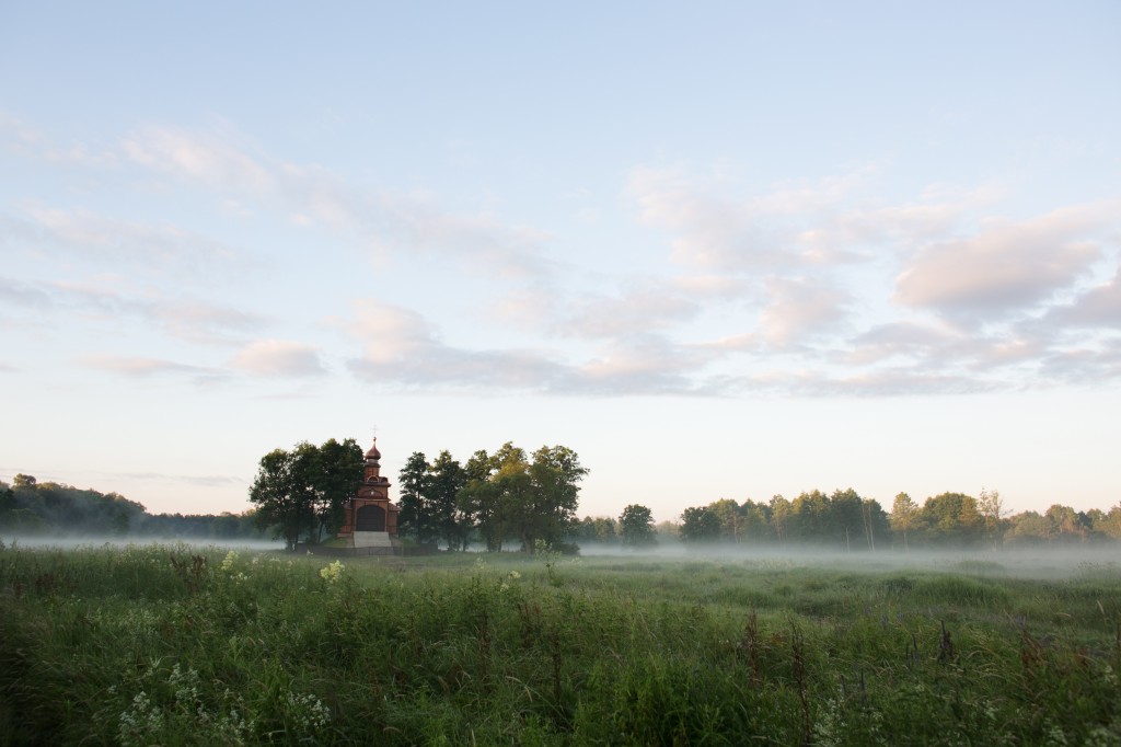 czastkapodlasia2