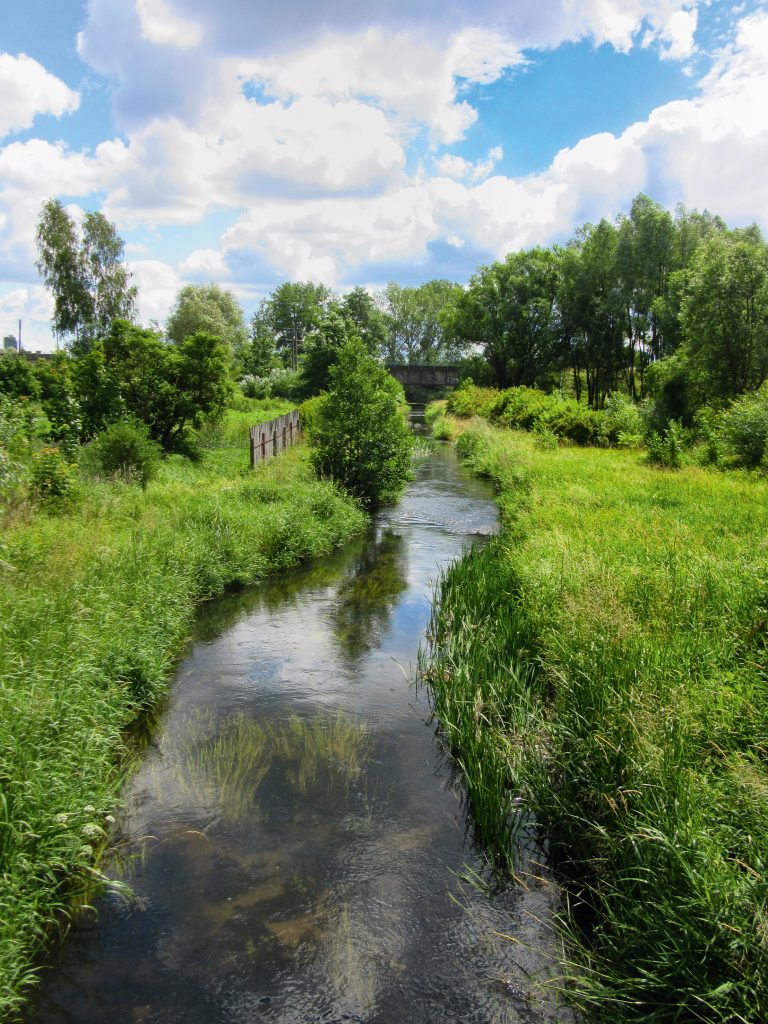 okladka_